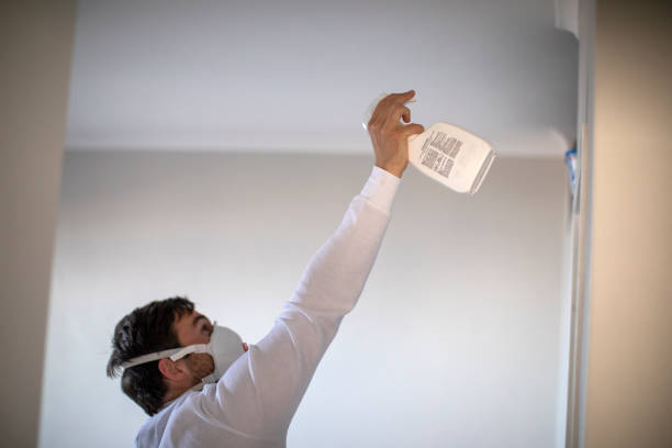 Best Affordable Mold Removal  in Evergreen, MT